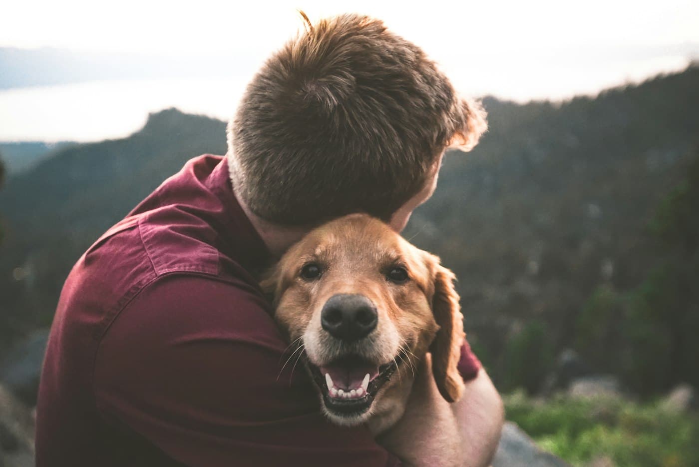 A man hugging his smiling golden retriever close on a mountain lookout