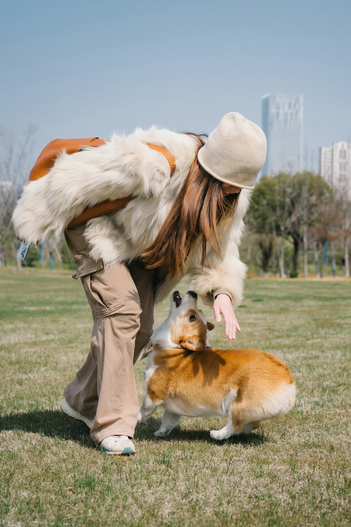 A woman leaning down to play with her excited corgi on a sunny park lawn