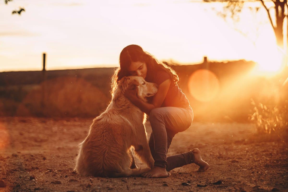 A woman kneeling in golden evening light, lovingly hugging her golden retriever