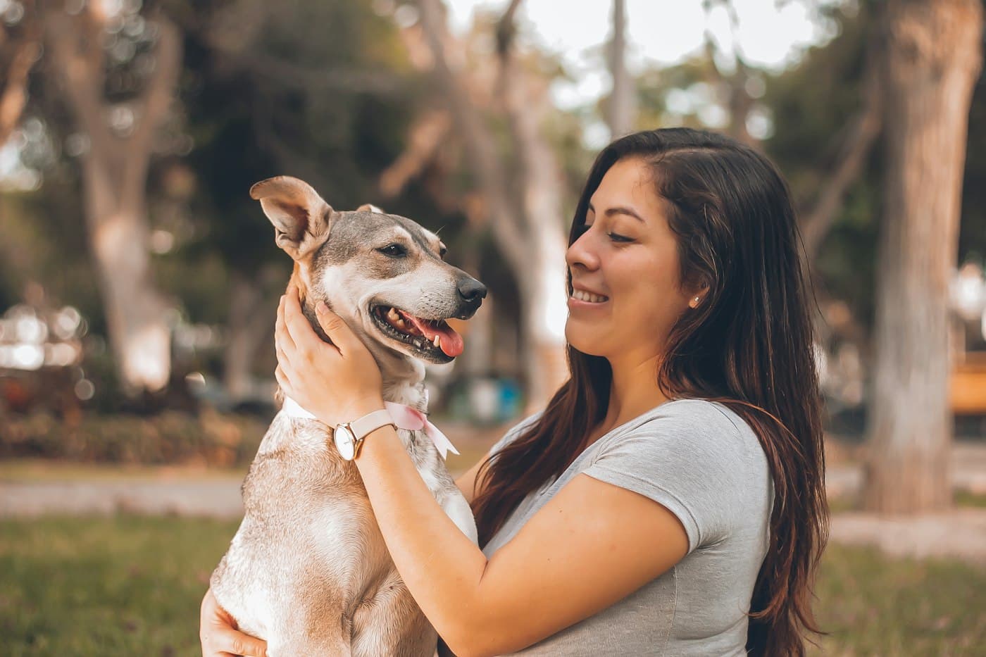 A smiling woman hugging her happy dog outdoors in a sunny, tree-lined park