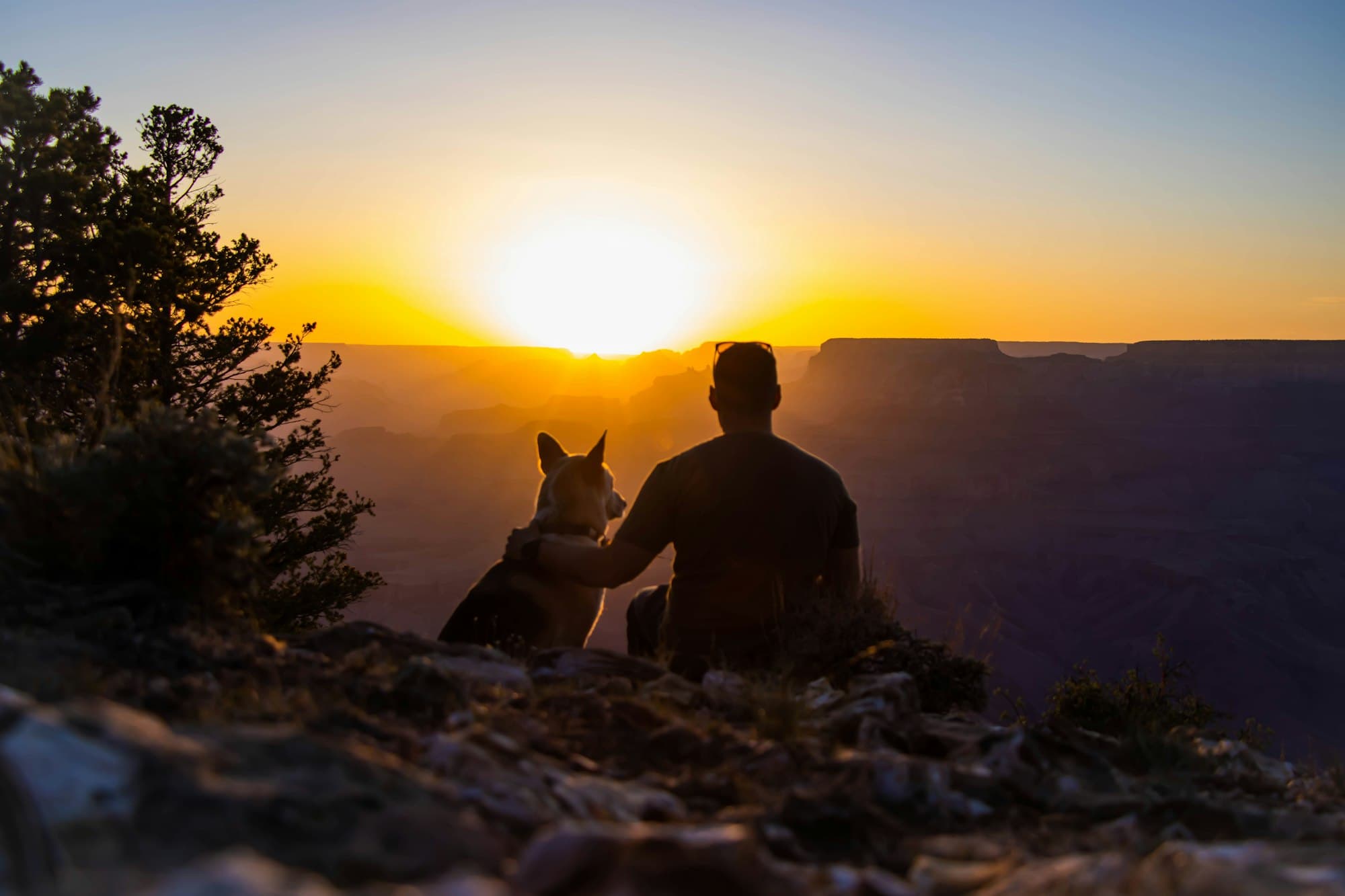 A man and his dog sitting side by side on a cliff, watching the sunset