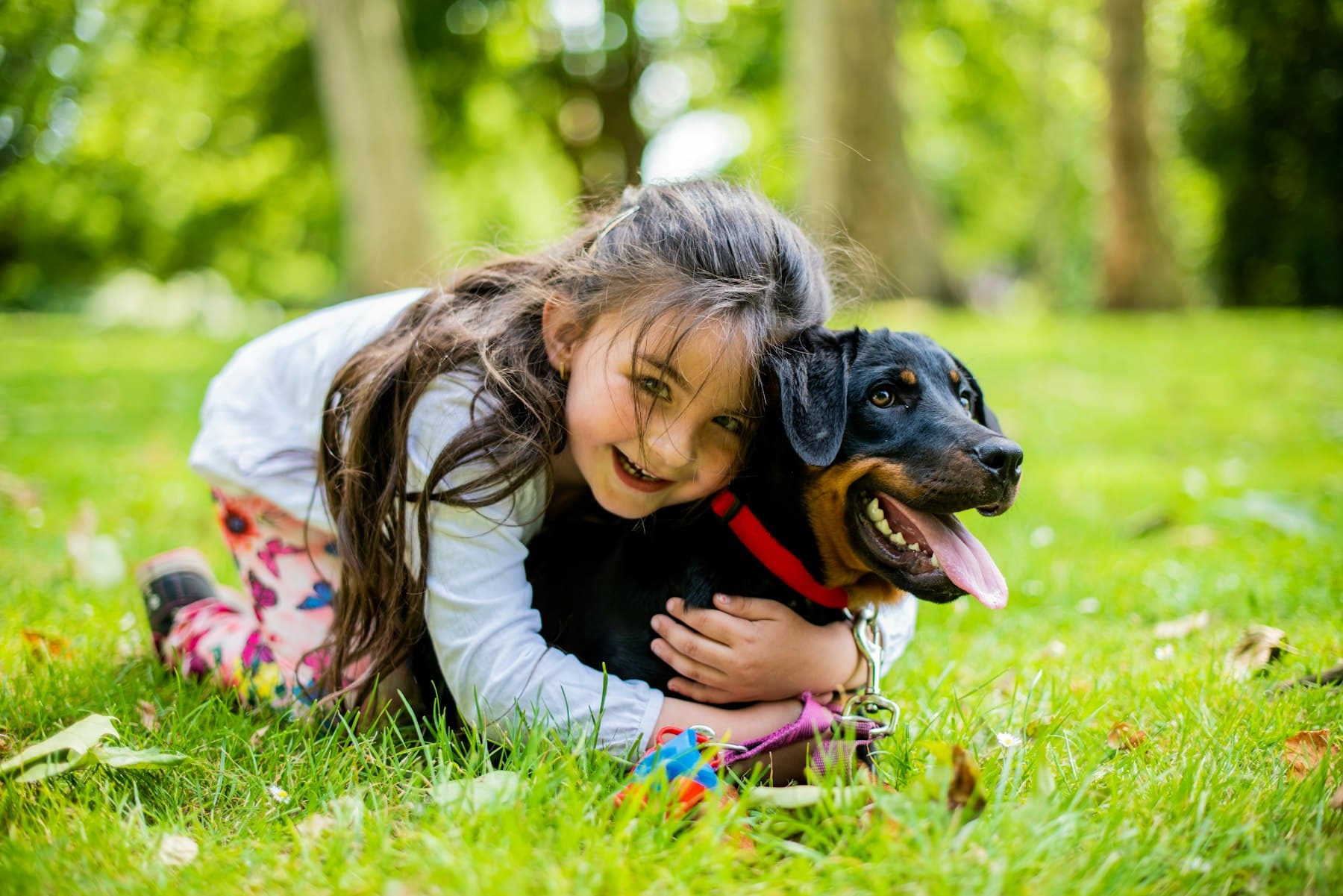 A laughing young girl hugging her happy black-and-tan dog on the grass in a park