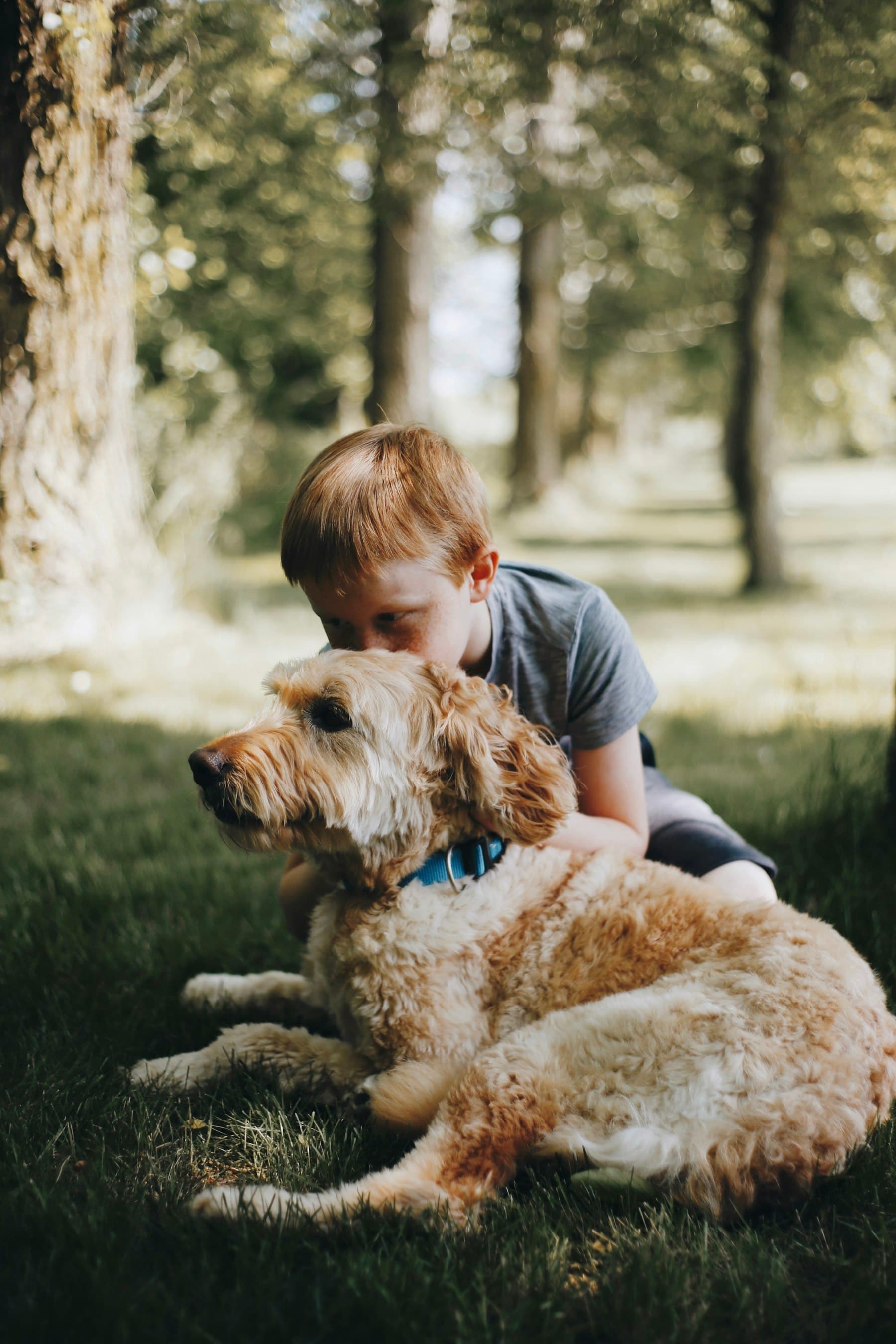 A young boy kneeling in the grass, lovingly kissing the head of his curly golden doodle