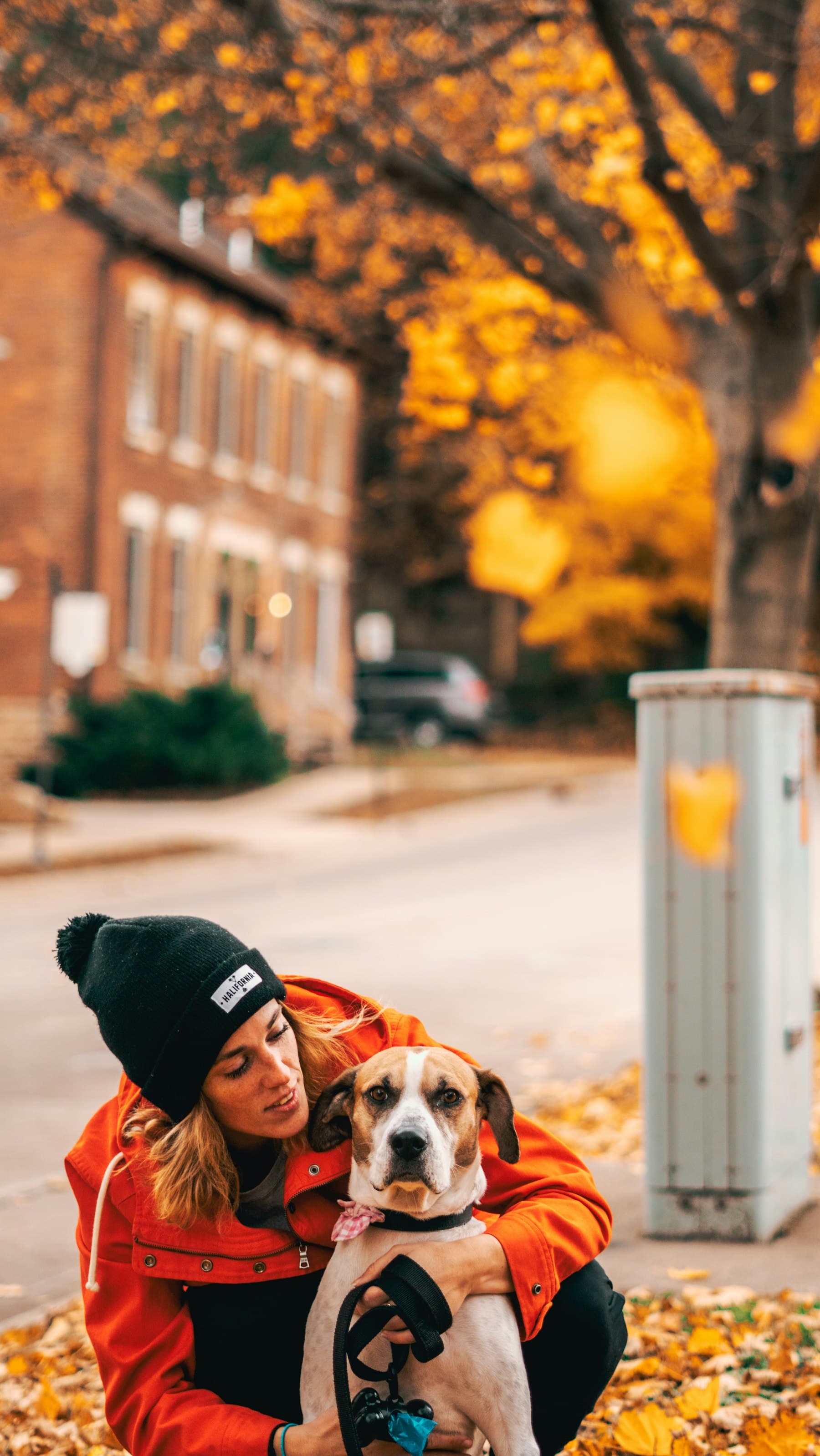 A woman in an orange jacket crouching on an autumn street to hug her brown-and-white dog